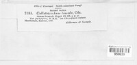 Image Associated With the Occurence